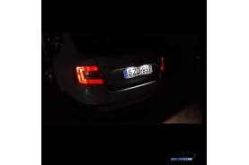 Skoda/Volkswagen/Seat LED Rendszámtábla világítás foglalattal (Skoda/Volkswagen/Seat)